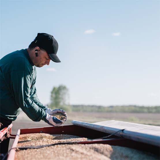 Tuntuvia etuja A-Rehun sopimusviljelijänä