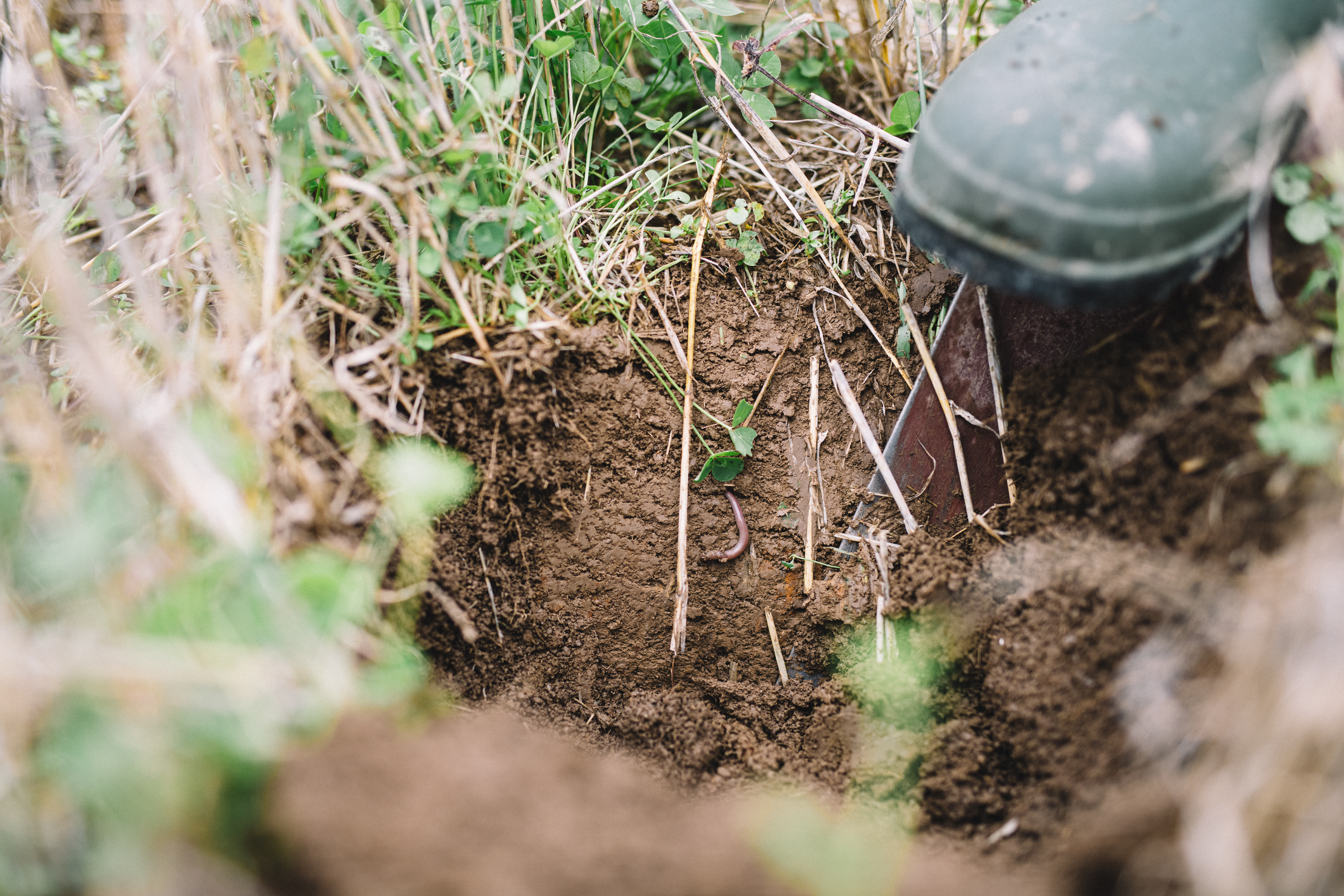Rikkakasvien torjuntaa mekaanisesti