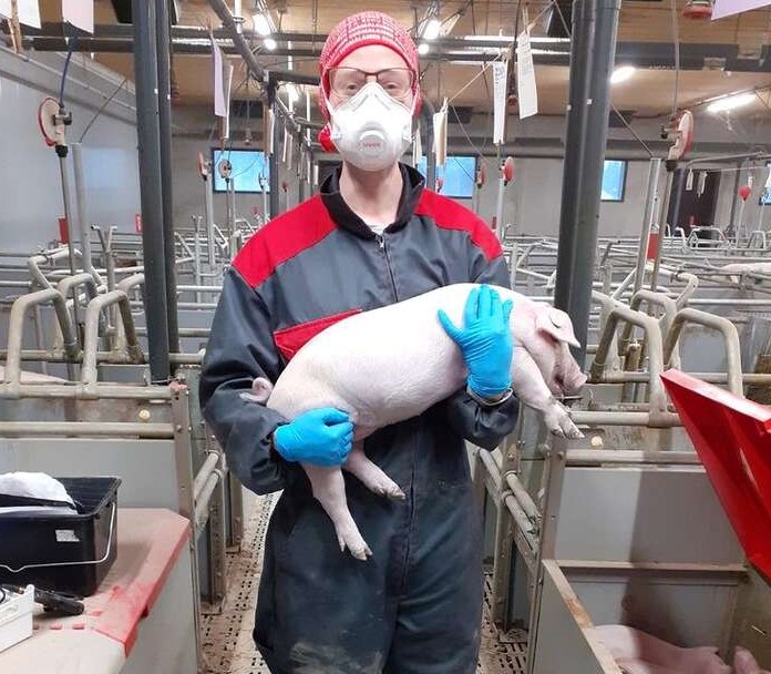 Vapaaporsitushankkeen aineisto on kerätty