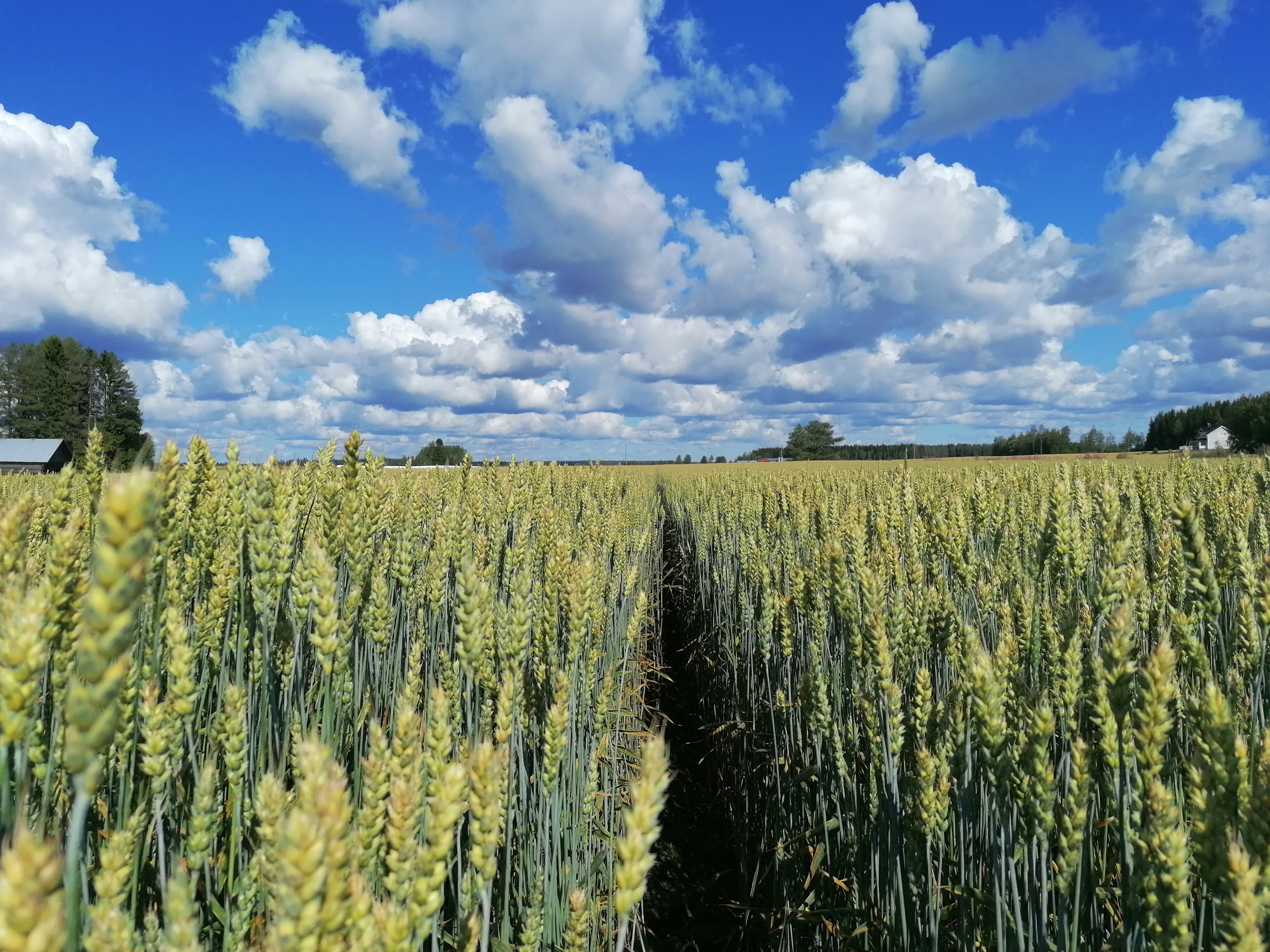 Osuuskuntien hallintojen kevätkokousten päätökset 2024