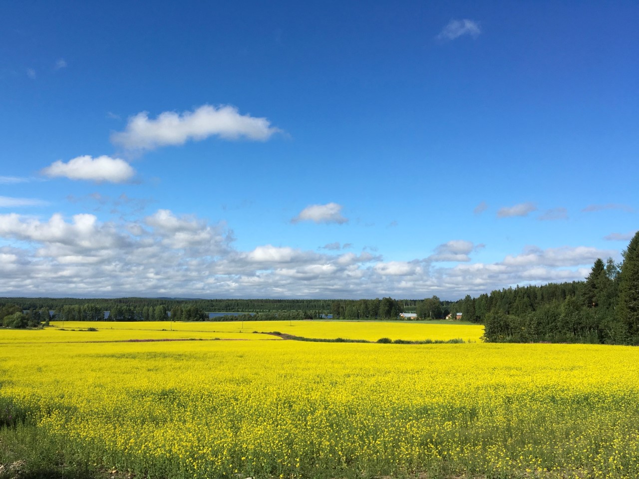 Atrian Kuopion myymälä