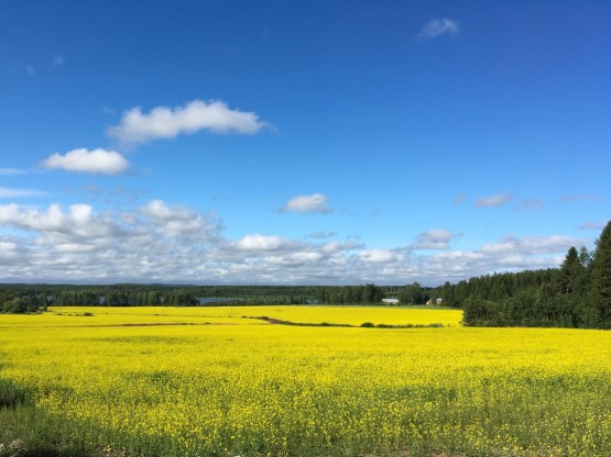 Jäsenyydestä eroaminen