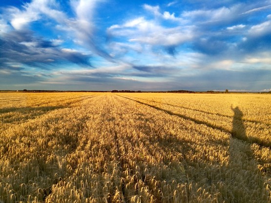 Jäseneksi liittyminen