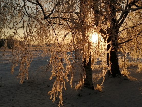 Jäsenpalvelulasku 2022