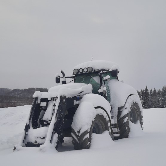Lihakunta ja Itikka jakavat yli 10 miljoonaa jäsenilleen – Lihakunta vaatii CAP-suunnitelmaa remonttiin