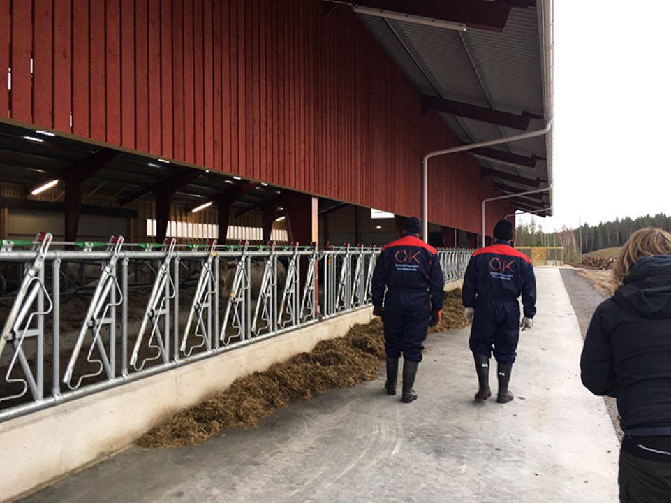 Vilka fördelar har medlemskap?